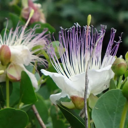 La Dolce Alloggio per agriturismo