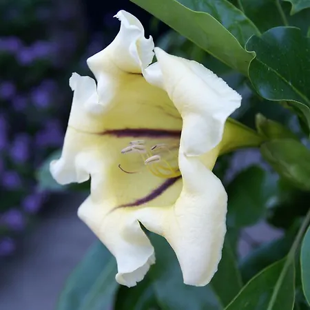 Agroturismo La Dolce